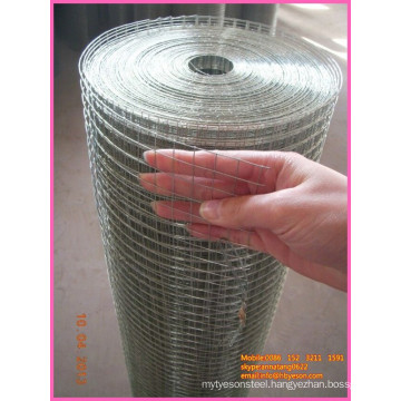 galvanized welded fence / galvanized hardware cloth / galvanized welded wire